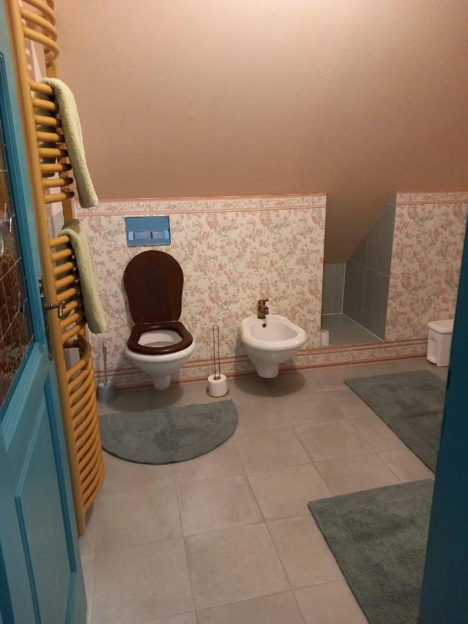 Roof Apartment Ztracena Оломоуц Екстер'єр фото